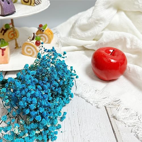 6 piezas Ramo Mini Gypsophila preservada azul miniatura 5