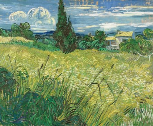 Reproducción de lienzo de Vincent Van Gogh Campo Verde pintura 60x90cm