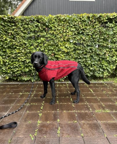 iEnergy™ OSC isolierende und warme Outdoor-Hundejacke mit Fleece-Innenfutter, windabweisender, ultraleichter und reflektierender Hundemantel, Ganzjahres-Hundeviespullover (Rot, Extra Groß)