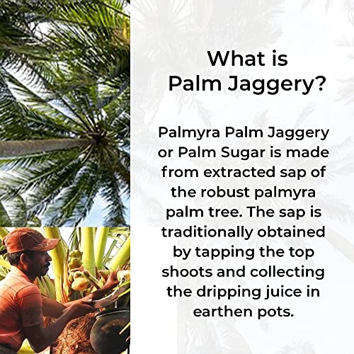 Image of Food Mynk Palm Jaggery (250g) | Thati Bellam | Karupatti | Date Palm jaggery | Nolen Gur | Khajur Gud | Patali Gur | Panavellam | No Preservatives (250g)