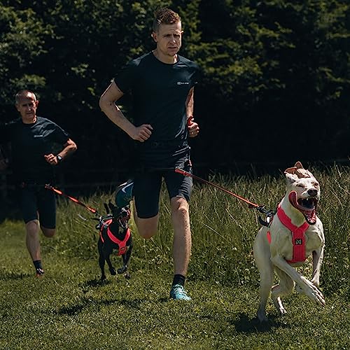 Non-stop dogwear FREEMOTION Harness 5.0 |111| Hundegeschirr für alle Sportarten, Größe:4