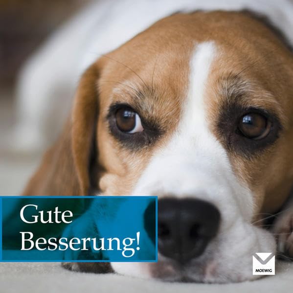 Gute Besserung!: Geschenke für Menschen, die einem am Herzen liegen