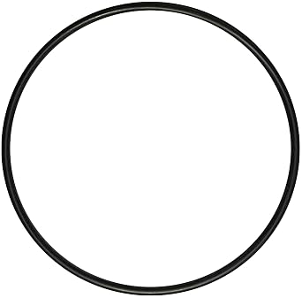 AppliaFit O-Ring Compatible with Jandy Zodiac R0374500 for Jandy Energy Filter and Ray-Vac Automatic Pool Cleaner 1-Pack