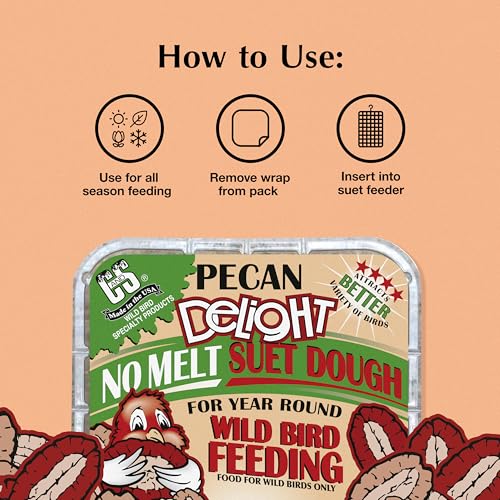 Image of C&S Pecan Delight No Melt Suet Dough, Suet Cakes for Wild Birds Including Nuthatches, Woodpeckers, Chickadees and More, 11.75 Ounces, Pack of 8