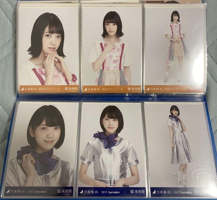 乃木坂 生写真 堀未央奈 コンプ まとめ売り