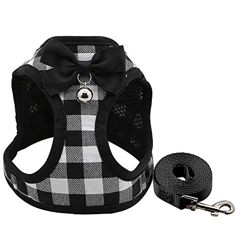 Canshuyan ̎ ʋC ߉\  lC ɂȂ bVybg  n[t`[N v   v Pet Running Leash Dog Leash ybgpi  p[h ^ ^ ^p[h P[h 