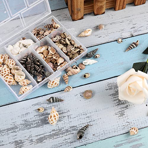 100 Pezzi Ocean Beach Conchiglie Charms