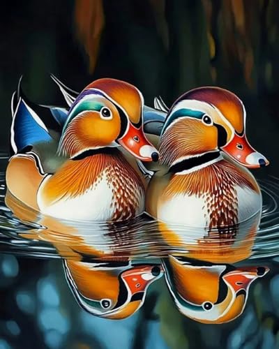 Diamond Painting Canards Mandarins 40x50cm, symbole d'amour pour votre décoration
