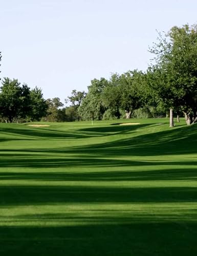 Monaco Bermuda Grass Seed (50 Lbs.) #TOP3