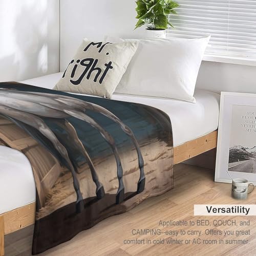 Manta de caballo para decorar con calidez tu sofa de casa 7
