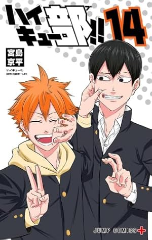 Amazon.co.jp: 文庫版 ハイキュー!! ショーセツバン!! 全6巻セット