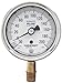 Ashcroft Duralife Type 1009 Stainless Steel Case Dry Filled Pressure Gauge, Stainless Steel Tube and Bronze Socket, PLUS Performance Dampening, without Throttle Plug, 2.5" Dial Size, 1/4" NPT Lower Connection, 30" Hg Vac/0/200 psi Pressure Range