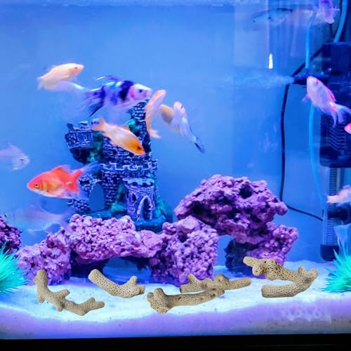 Image of 1.1lb /500g Crushed Coral, Natural Fish Tank Crushed Coral, Crushed Coral Filter for Freshwater Aquarium Ph Aquarium Bio Filter Media Bag Reusable Aquarium Filter