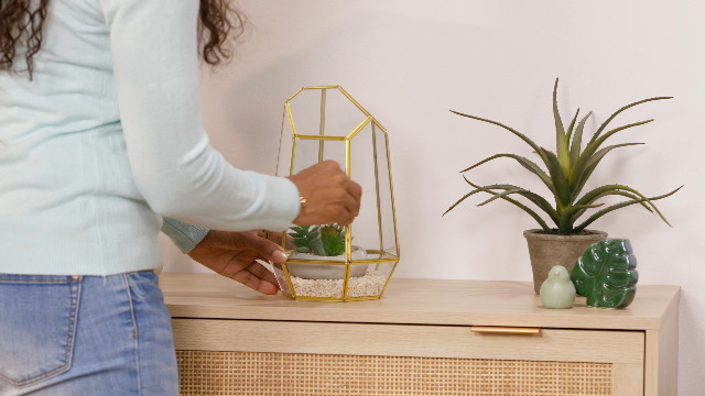 Pieterpik : SOGO Vensterbank kweekkas Maxigrow 20x54x21