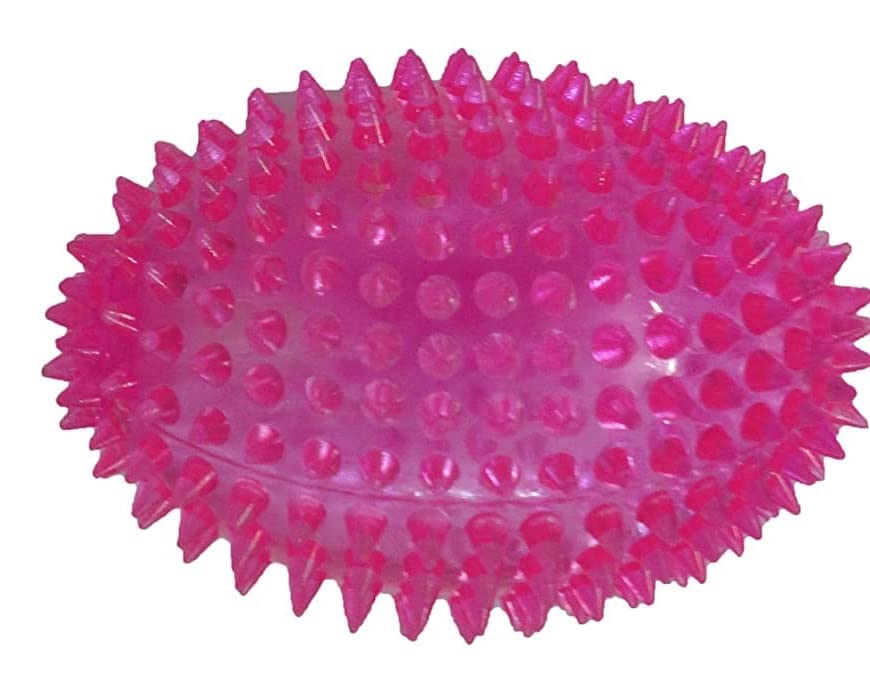 Woofy Dog Squeaky Chew Toys for Aggressive Chewers Dental Teething Cleaning Toy - (Multicolor) (B0B9SHMZHT) Amazon Price History, Amazon Price Tracker
