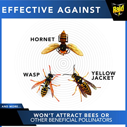 Raid Xl Yellow Jacket Trap, Wasp Trap & Bee Trap - Wasp Traps Outdoor Hanging With Tie - Carpenter Bee Trap, Hornet Trap & Wasp Killer - Carpenter Bee Traps For Outdoors & Wasp Repellent Outdoor #TOP3