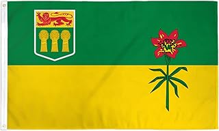 Saskatchewan Flag 2' x 3' - Canada - Canadian Region of Saskatchewan Flags 60 x 90 cm - Banner 2x3 ft Drapeau Saskatchewan AZ FLAG
