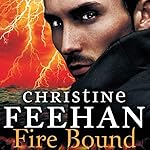 Cover of Fire Bound