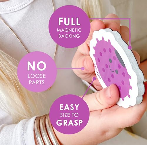 image for Curious Columbus Toddler Magnets – Animal Fridge Magnets for Kids | 