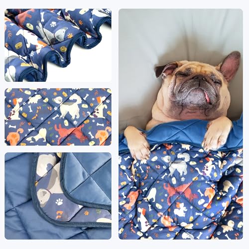 wegreeco Cobertor refrescante premium para cães e gatos, tapete de resfriamento leve para cães, almo