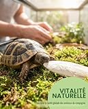 VAEIORP 6 os de seiche de 8 à 9 cm pour tortues et reptiles photo 3