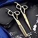 Produktbild 6 Zoll Friseurschere, Edelstahl Professionelles Haarschneiden Ausdünnende Schere Friseurset Haarschere Für Männer Frauen Haustier