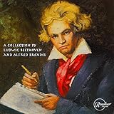  Piano Sonata No. 24 In F Scharp Major, Op. 78 I. Adagio Cantabile (feat. Alfred Brendel)