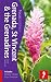 St Vincent, the Grenadines & Grenada: Footprint Focus Guide