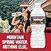 Arrowhead Mountain Spring Water Bottles, 24 Pack - Still Bottled Water with Naturally Occurring Minerals & Electrolytes for Taste - 16.9 Fl Oz