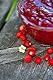 Alpine Strawberry Baron Solemacher Samen - Wald-Erdbeere