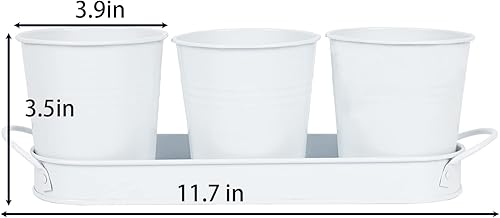 Miniatura 2 de Opexscal Macetas de hierbas de granja con juego de bandeja, macetas de jardín de hierbas para interiores, macetas de hierbas para plantas vivas de