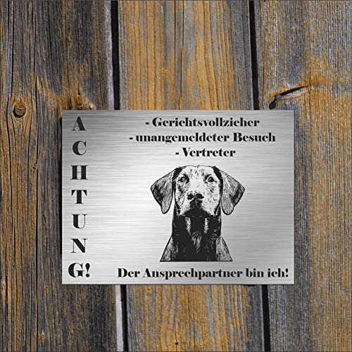 INDIGOS UG - Schilder selbst gestalten Bernhardiner - Wunschtext personalisiert - Aluverbundplatte Edelstahllook - ab 20x15 cm - Spruch - Deko Geschenkidee für Ihren Hund - Zaun - Türschild