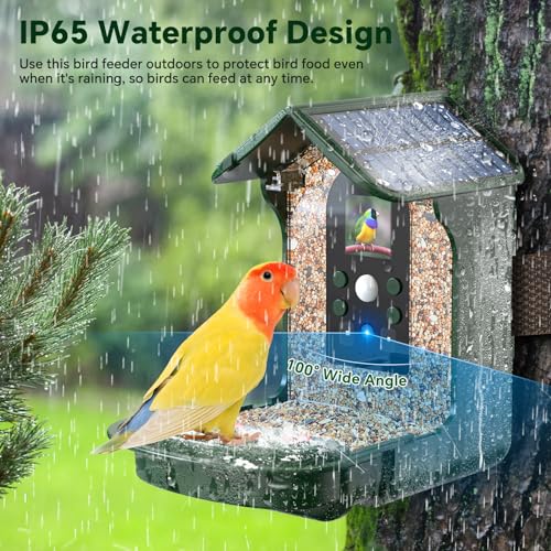 Vatjubi Vogelhaus Mit Kamera & Solarpanel – 1080P HD, KI-Vogelerkennung, Echtzeit-Benachrichtigungen Aufs Handy