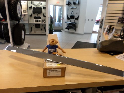 General Motors, Molding, 25981130