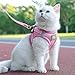 FEimaX Hundegeschirr mit Leine für Kleine Mittele Hunde Katzen Weich Mesh Welpengeschirr Atmungsaktive Brustgeschirr Verstellbare Reflektierend No Pull Weste Chihuahua Katze