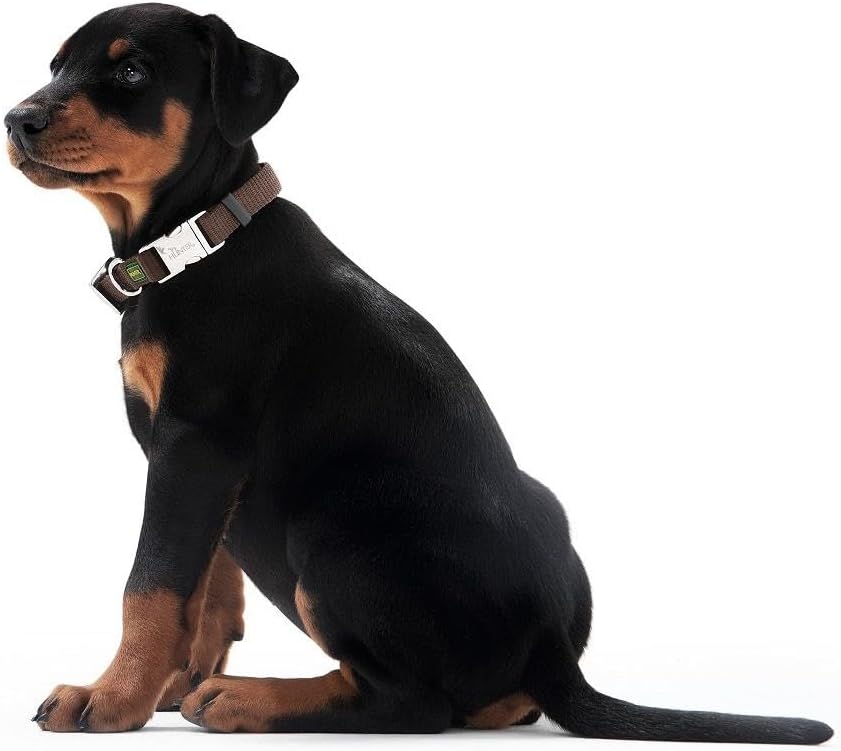 HUNTER - Collar Vario Basic Aluminium resealable L 45-65 cm Brown Neck