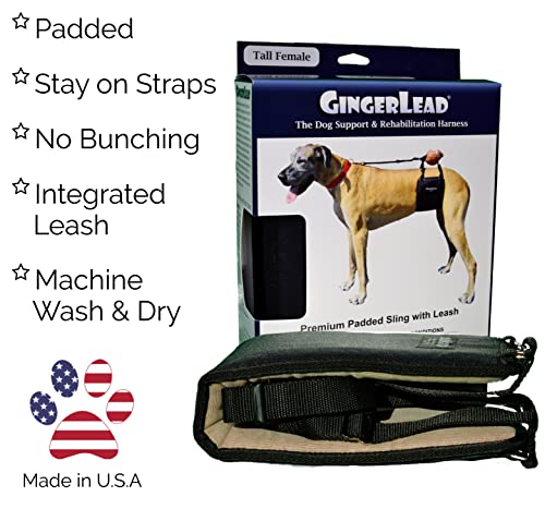 Gingerlead Dog Sling Hip Support Harness, Tall Female Fits Tall, Lean Female Dogs Like Greyhounds Or Great Danes. Padded Lifting Aid To Help Em Up Or Down Steps, In Or Out Of Vehicles. Made In U.s.a. #TOP1