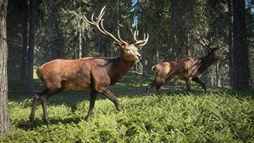 The Hunter - Call of the Wild - Edition 2019 - [Playstation 4] — view 10