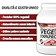 WHY SPORT VEGETAL 100% PROTEIN - pflanzliches Eiweiß - Proteinpulver - Erbsenprotein und Reis - Geschmack Kakao - 750 gr
