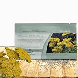 Outsidepride Parker Yarrow Seeds – 5000 Pcs. Perennial, Versatile, Clump-Forming, & Drought Tolerant Flower Seeds for Planting Fragrant & Vibrant Blooms, Ideal for Xeriscaping & Pollinator Gardens