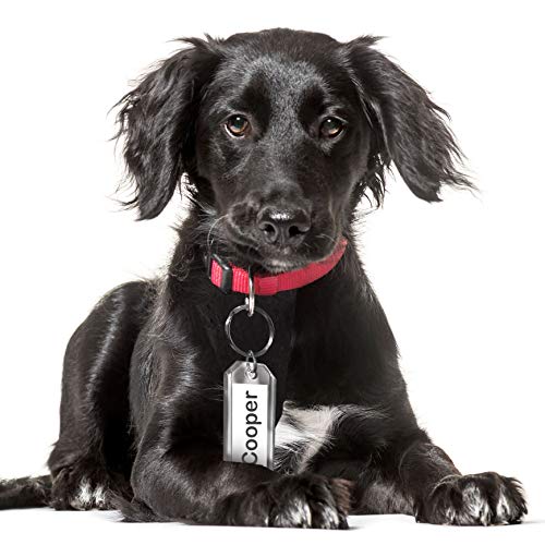 Premium Key Tag 3” Slip-Slot Plastic Heavy Duty (Clear Crystal Color) (16 Pack) (Label And Ring Included) (Made In Usa) #TOP7