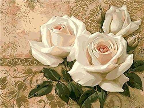 Peinture à l'huile par nombre de roses blanches cadeau de bricolage unique 40x50cm