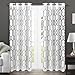 Exclusive Home Curtains Rio Burnout Sheer Window Curtain Panel Pair with Grommet Top, 54x84, Winter White, 2 Piece