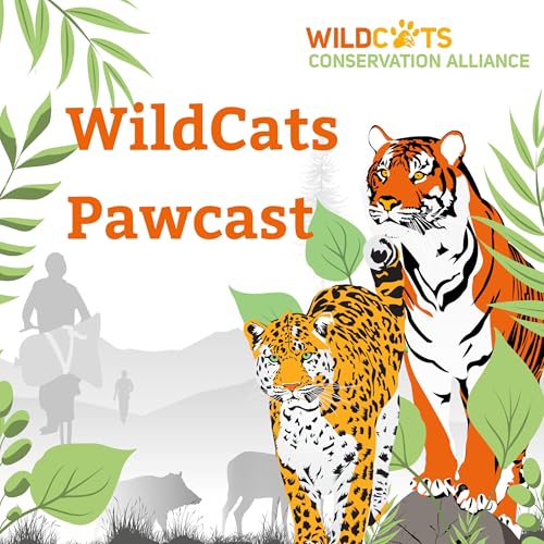 WildCats Pawcast cover art