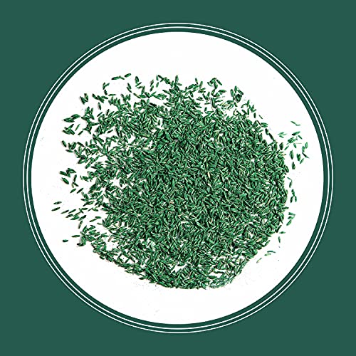 Pennington 100543723 Smart Seed Sun And Shade Tall Fescue Grass Seed Mix thumb #7