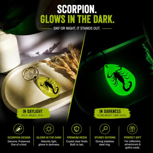 Image of DezArt Glow in the Dark Scorpion Keychain | Preserved Insect Resin Keychain | Unique Handcrafted Gift for Men Women