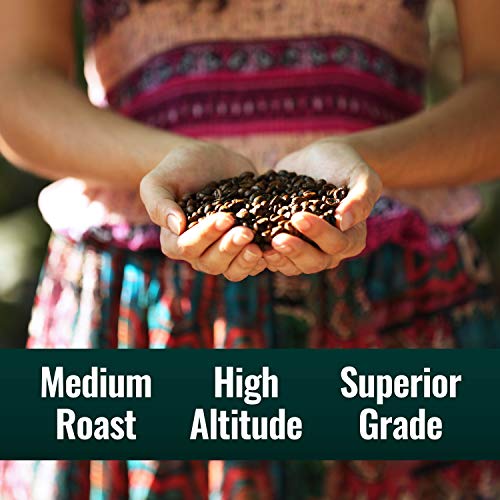 Natural Force - Bulk Organic Clean Coffee Classic, Mold & Mycotoxin Free, Lab Tested For Toxins & Purity, Low Acidity, Incredible Taste & Aroma, Whole Bean Medium Roast, 5 Lbs #TOP4