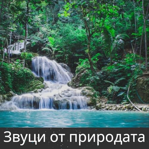 Couverture de Звуци от природата