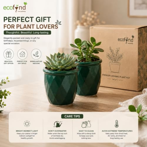 Image of ecofynd 4 Inch Ceramic Plant Pots with Drainage Hole, Modern Decorative Clay Flower Pots for Indoor Plants, Home Garden Decor for Living Room, Bedroom & Interior Spaces (Pack of 2, CPOT043-DGN)