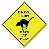 Drive Slow Cats At Play - 15